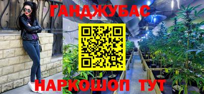 прущие грибы Нягань