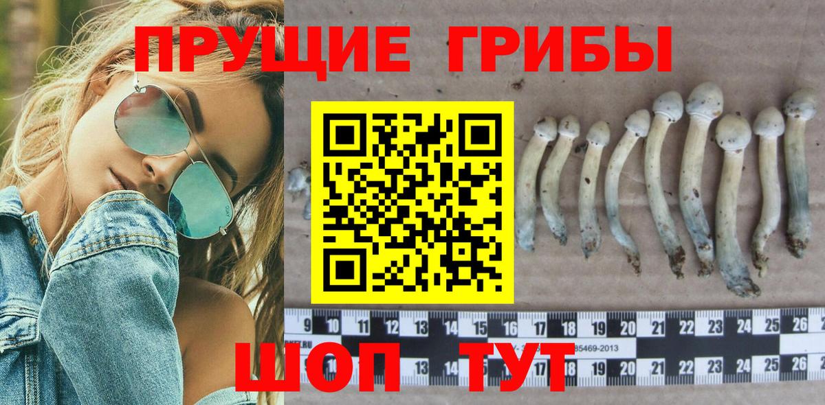 Псилоцибиновые грибы MAGIC MUSHROOMS  Галлюциногенные грибы ЛСД  Советская Гавань  Вход с VPN 